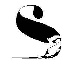 orchestra senza spine logo